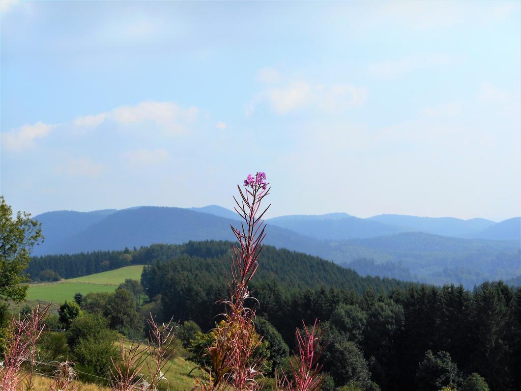 Apartment Blickfang Winterberg Esterno foto